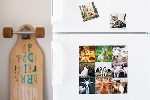 Refrigerator with photos on it